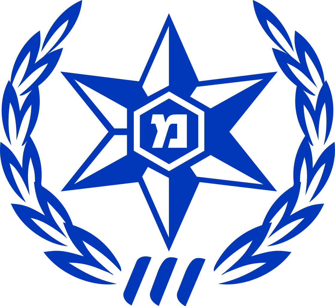 משטרת ישראל